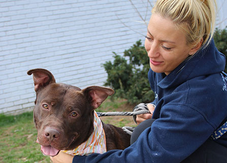 Photo of a woman and a dog. Link to Gifts of Real Estate.